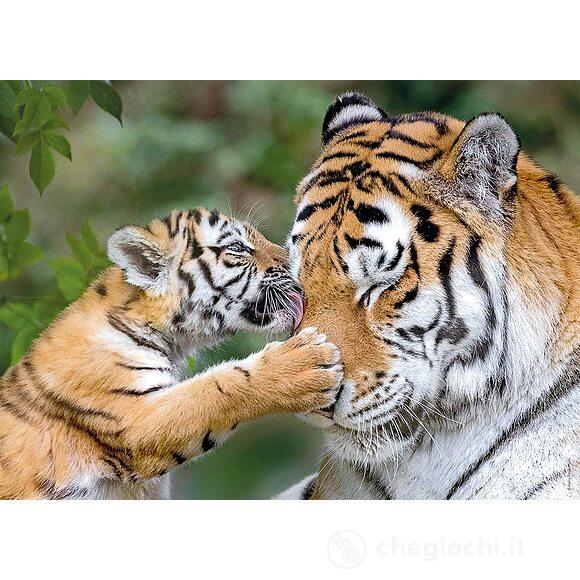 Animali selvatici Puzzle 4x100 Bumper Pack (5624)