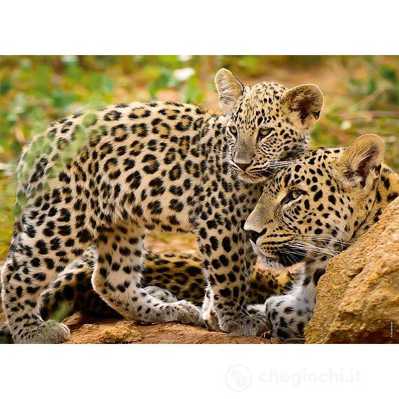 Animali selvatici Puzzle 4x100 Bumper Pack (5624)