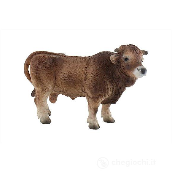 Toro Peter (62624)