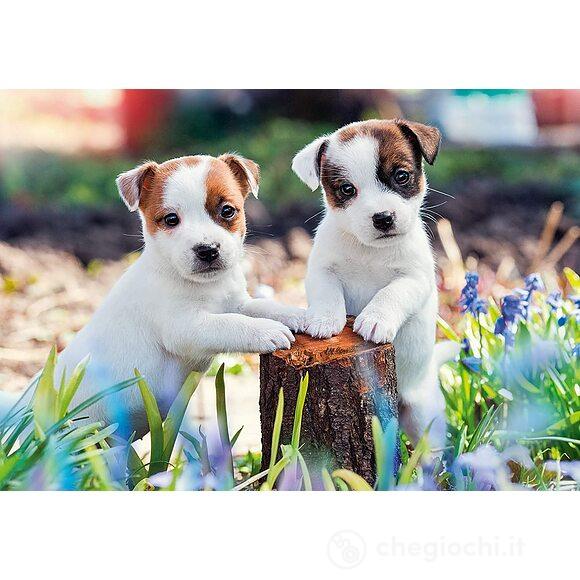 Piccole palle di pelo Puzzle 2 x 12 pz (05636)