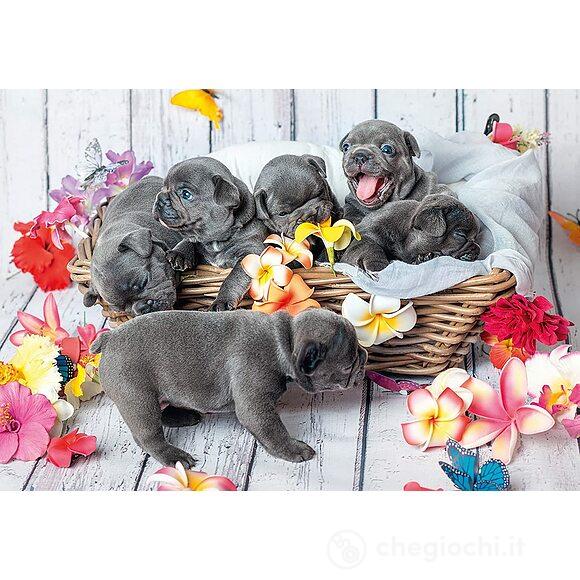 Piccole palle di pelo Puzzle 2 x 12 pz (05636)