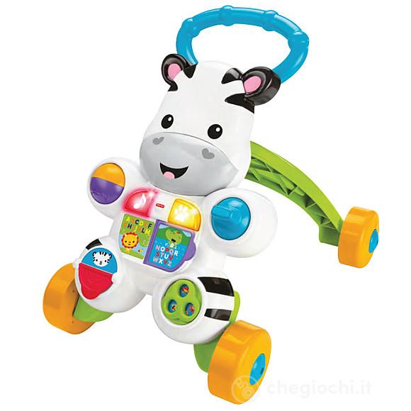 Zebra primi passi (DLD91)