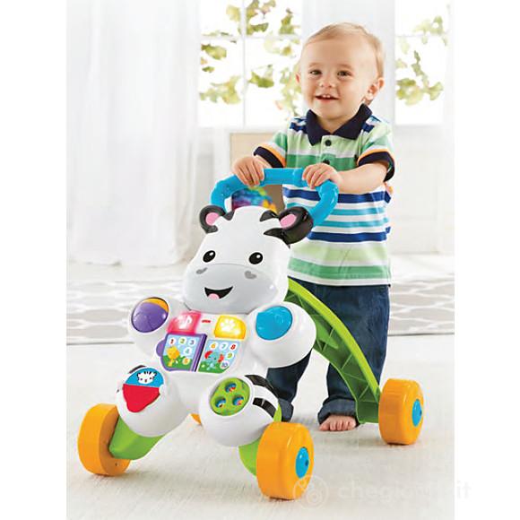 Zebra primi passi (DLD91)