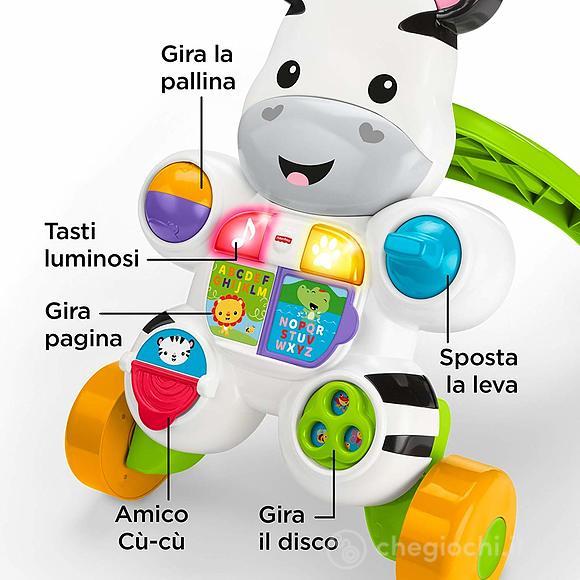 Zebra primi passi (DLD91)