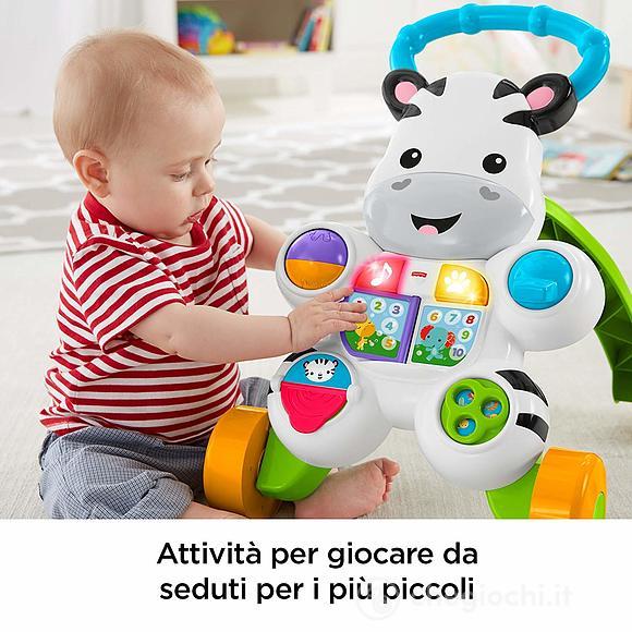 Zebra primi passi (DLD91)