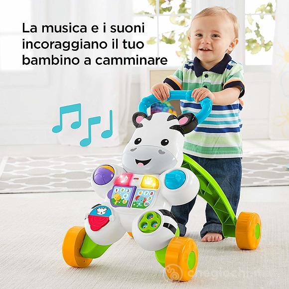 Zebra primi passi (DLD91)