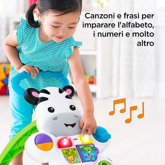 Zebra primi passi (DLD91)
