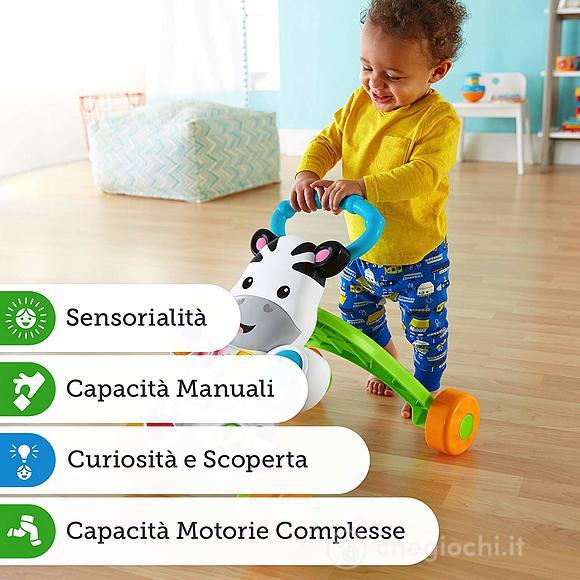 Zebra primi passi (DLD91)