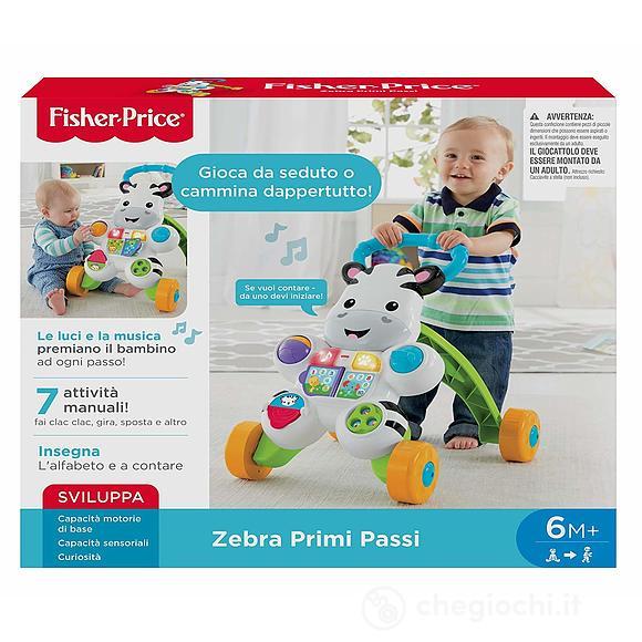 Zebra primi passi (DLD91)