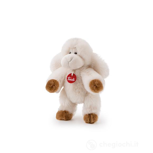 Pecorella Dolly S (69657)