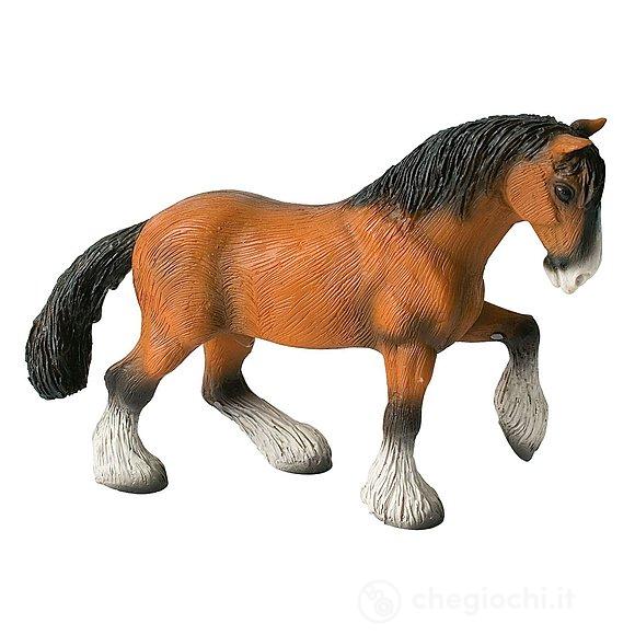 Cavalli - Shire Horse Gelding (62666)