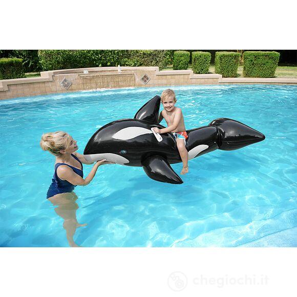 Gonfiabile Cavalcabile Orca Grande 203 x 102 cm 41009