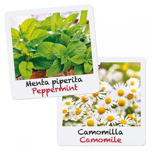 Gioca Green Officinali