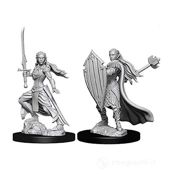 D&D Nolzur Mum Female Elf Paladin