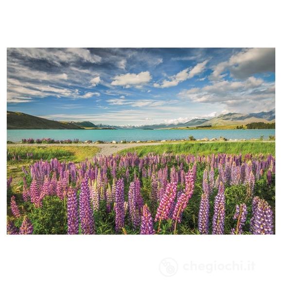 Puzzle 1500 pz - Lupins at Lake Tekapo (31728)