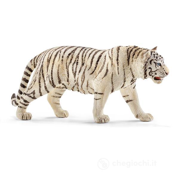 Tigre Bianca (14731)