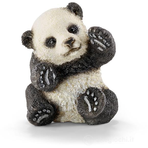 Cucciolo Di Panda Che Gioca (14734)