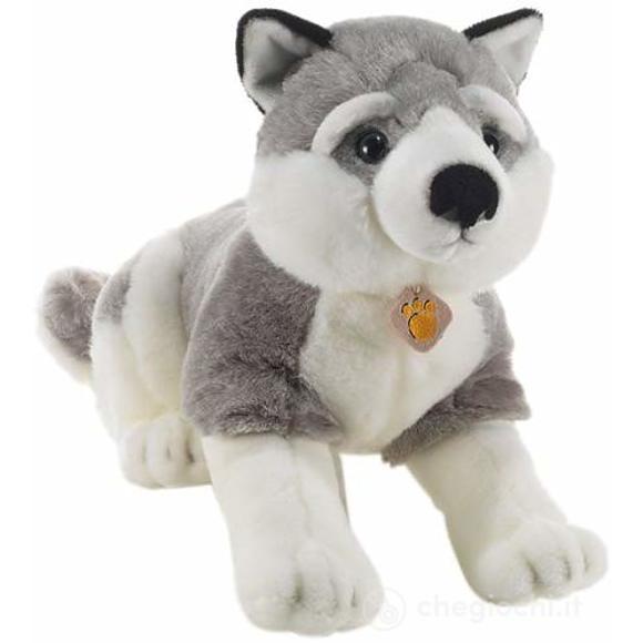 TOMSKY HUSKY SIBERIANO - L.50 cm (15754)