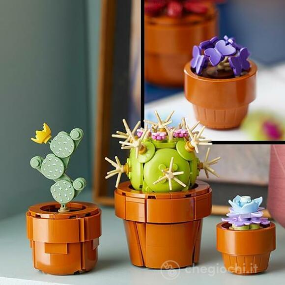 Piantine - Botanical Collection (10329)