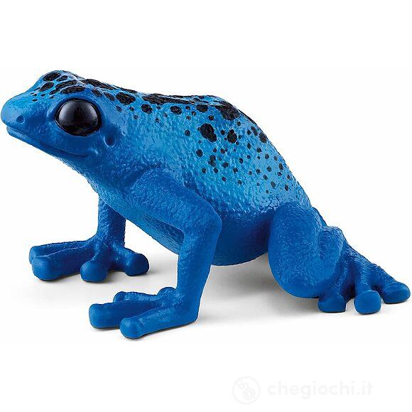 Rana freccia blu (14864)