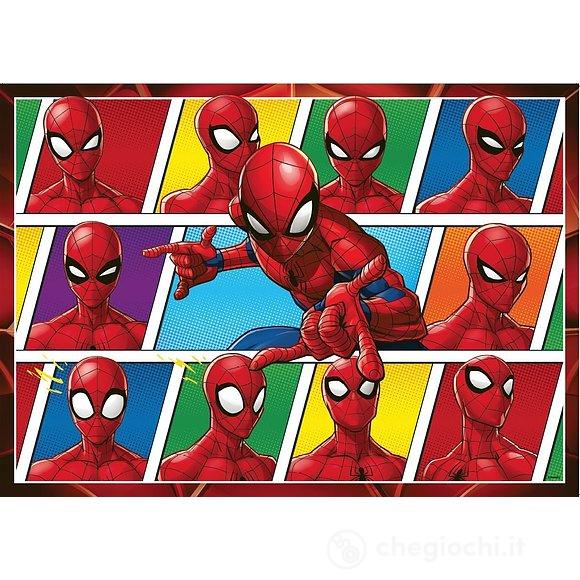 Spider-Man (09790)