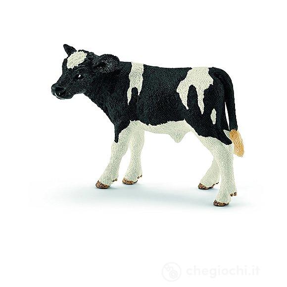 Vitello Holstein (13798)