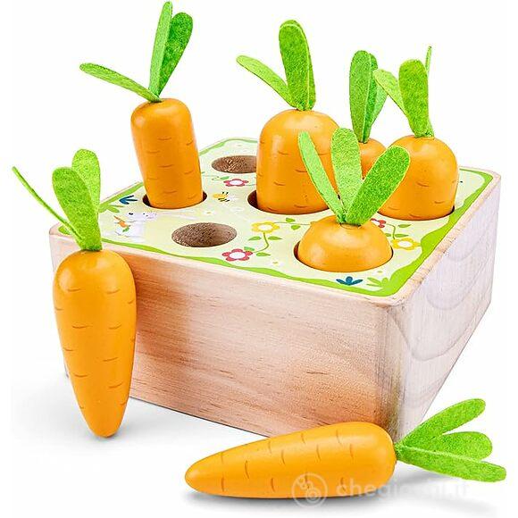 Carrot Picking (10804)