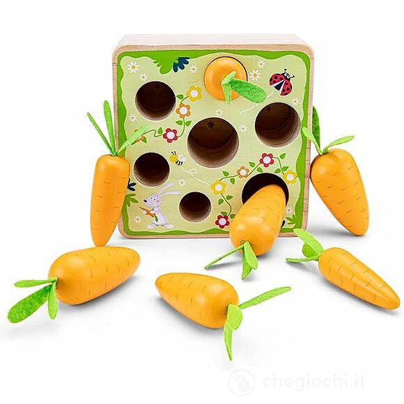 Carrot Picking (10804)