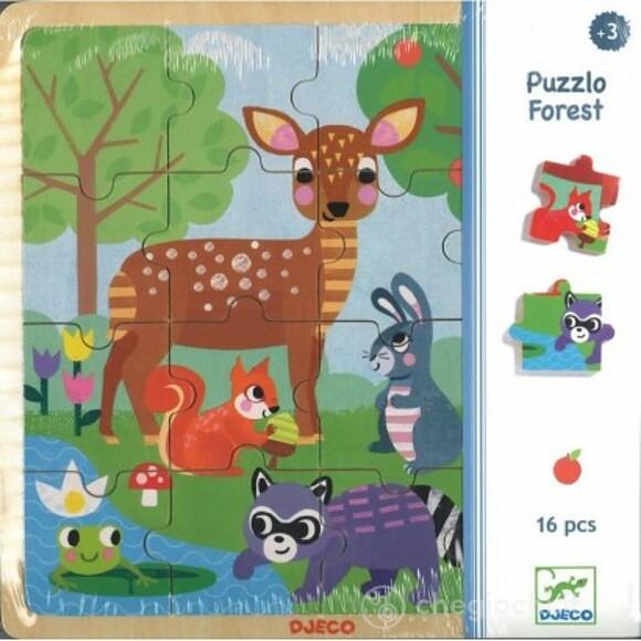 Puzzle forest (DJ01812)