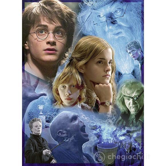 Harry Potter in Hogwarts (14821)