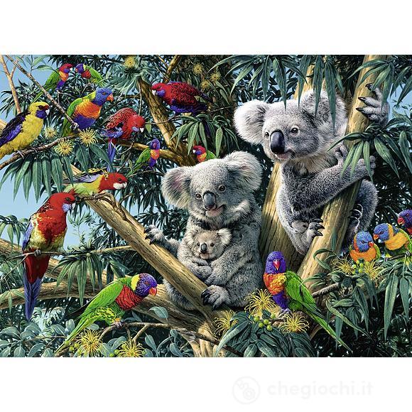 Koala nell'albero (14826)