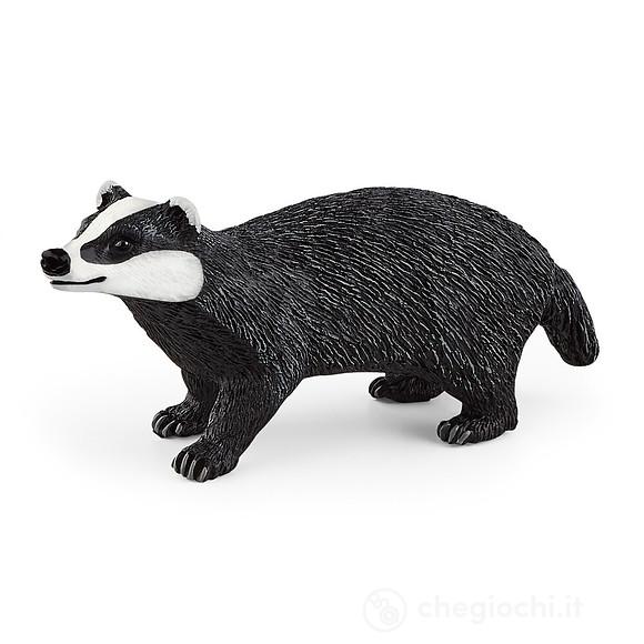 Tasso (2514842)
