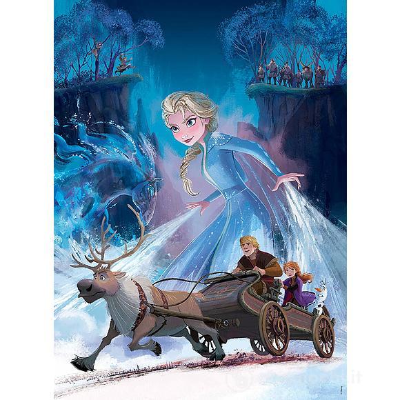 Frozen 2 (12865)