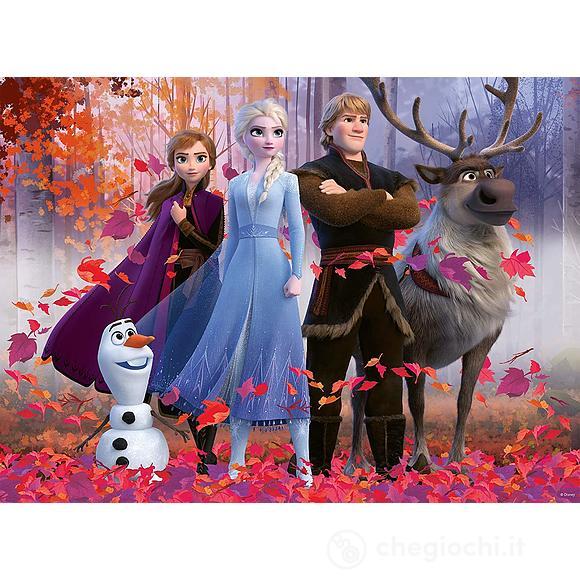 Frozen 2 (12867)
