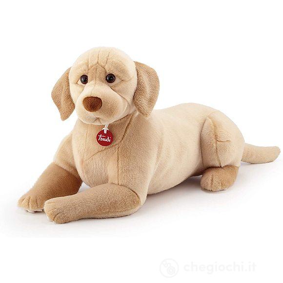 Labrador Liam XL (22874)