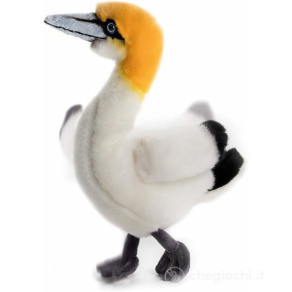 Morus - Uccello Marino 23 cm H. (15877)