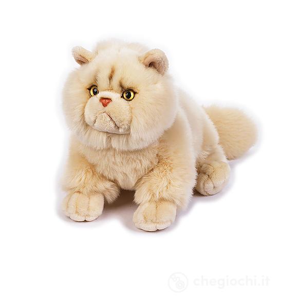 Chrystal Gatto Persiano My Puppy