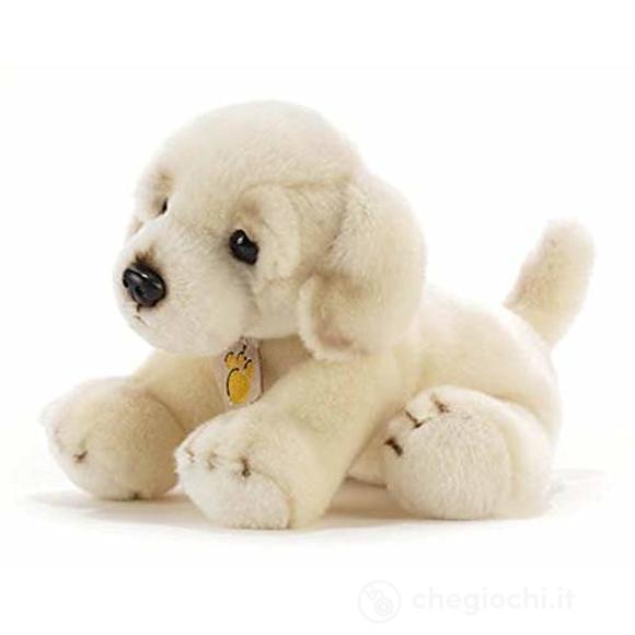 Cane Gaga Retriever 30 cm