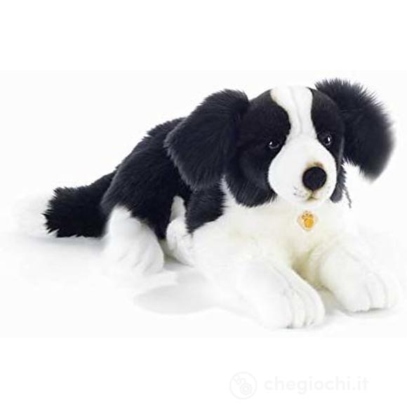 Cane Border Collie 45 cm (15934)