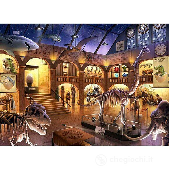 Il museo di storia naturale (12935)