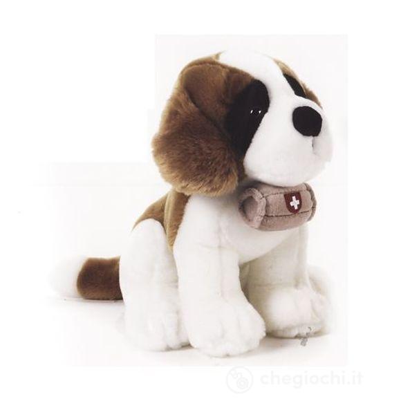 Cane San Bernardo Bernie (5982)