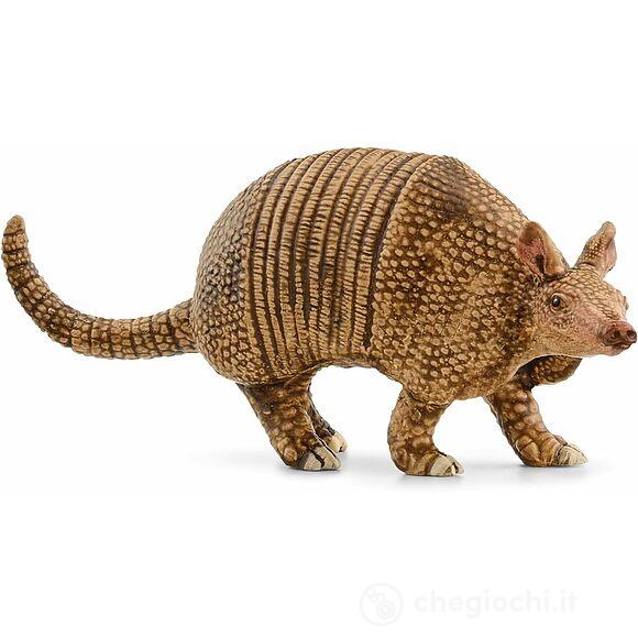 Armadillo (14874)