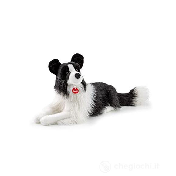 Border Collie Scott XL (TUDN9000)