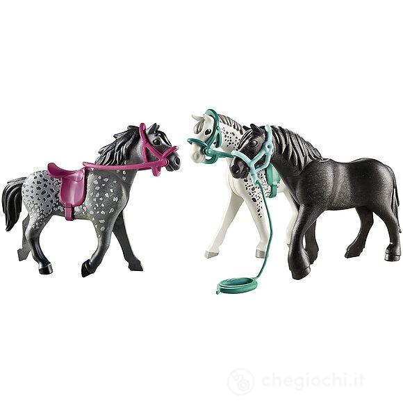 Blister 3 Cavalli (70999)